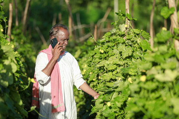 Indian farming, farmer holding bottle gourd, happy farmer speaking on cell phone