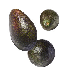 Fresh ripe avocado falling in the air isolated
