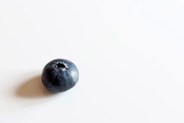 A blueberry on a white background