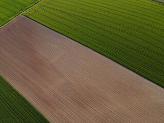 Green growing crop fields and plowed agricultural land from above in spring