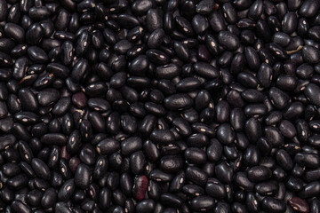 Black turtle bean - is a small, shiny variety of the common bean.