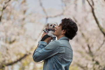 桜の木の下でペットの愛犬にキスをする男性