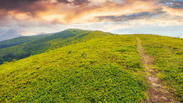 narrow lane through the hill. mountainous summer countryside scenery in evening light
