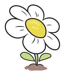 Cartoon chamomile flower illustration on white background
