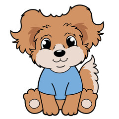 Cute little dog sitting on white background