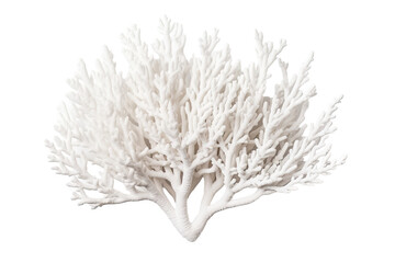 Coral on transparent background (PNG). Generative AI.
