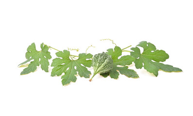  Bitter melon or Bitter gourd (Momordica charantia L.) with leaves on white background.