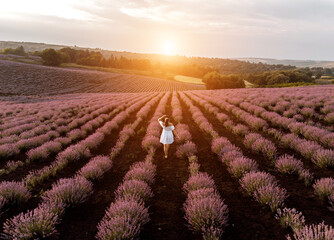 Young woman in a white dress posing in a lavender field.The concept of a photo shoot in lavenders