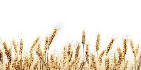 AI Generated. AI Generative. Wheat harvest field plant on canvas. Mockup decoration texture background. Farm harvest food bakery deocration graphics. Graphic Art
