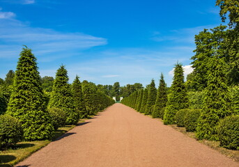 Summer day in Oranienbaum park. Lomonosov. Saint Petersburg.
