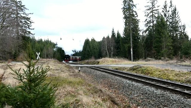 Harzer Schmalspurbahn, HSB, runs through the Harz mountains, Saxony-Anhalt, Germany, Europe