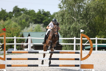 horse and rider on a horse in show jumping competition