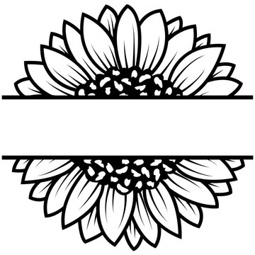 Sunflower Split Monogram Svg, Floral Border 