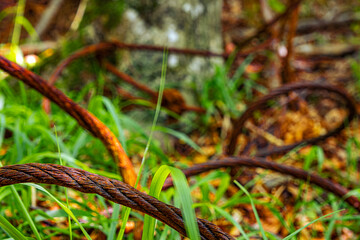 old rusty cable in the forest