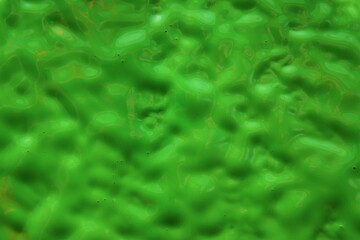 Green rough background texture. Wet paint.
