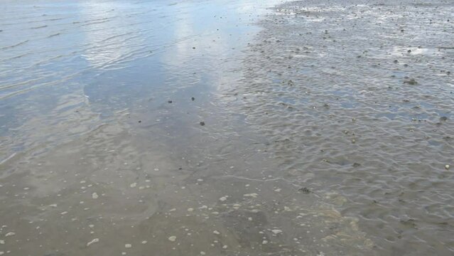 The tide comes in on the Wadden Sea of Buesum, Schleswig-Holstein, Germany, Europe