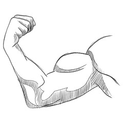 Muscle arm