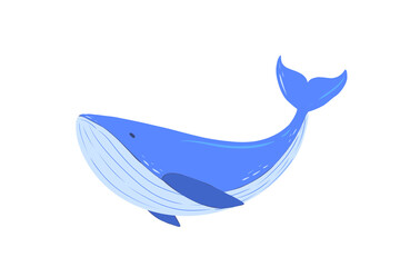 Cute Blue Whale Cartoon