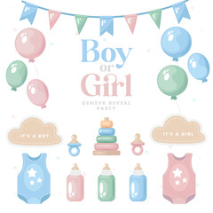 Gender reveal party elements set