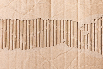 Torn Ripped Carton Cardboard Paper Texture Background