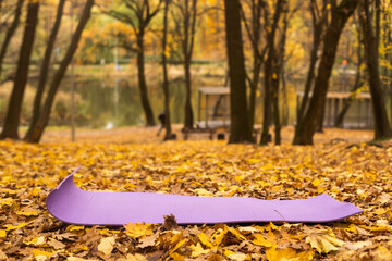yoga mat in autumn forest