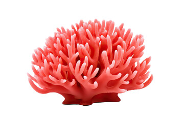 Coral on transparent background (PNG). Generative AI.