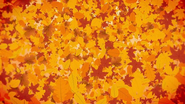 Autumn background with autumn leaves falling loop