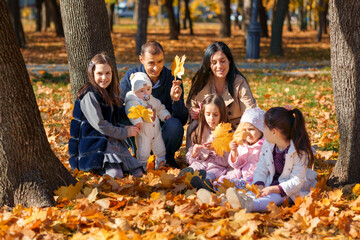 a big family sitting together in a glade of yellow maple leaves in an autumn city park, children and parents, happy people enjoying beautiful nature, a bright sunny day