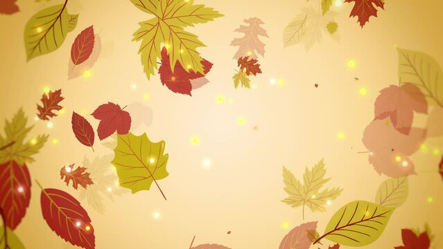 Autumn leaf background is an autumn leaf and particle falling looped