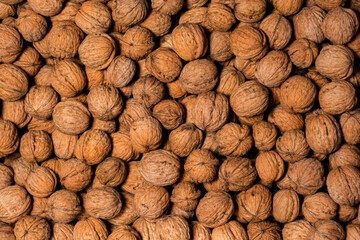 Large group of wallnut fruit background. High quality photo