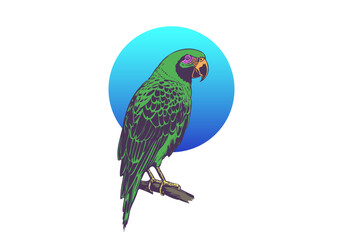 Vector graphic green parrot with a blue circle on a white isolated background. Jungle bird.