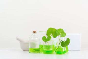 White Background Centella asiatica (gotu) for Biological experiment presentation Centella asiatica leaves and green water in biological test tubes.