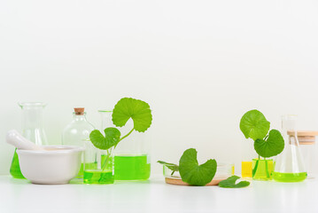 White Background Centella asiatica (gotu) for Biological experiment presentation Centella asiatica leaves and green water in biological test tubes.