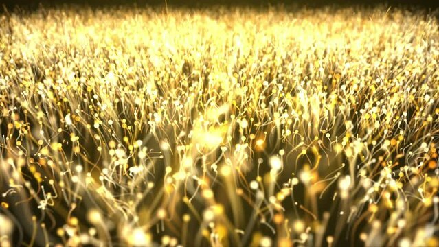 Gold particle abstract backgrounds looped