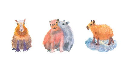 Watercolor set with illustrations of capybara animals