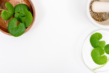 Top view on table centella asiatica leaves with isolated on white background