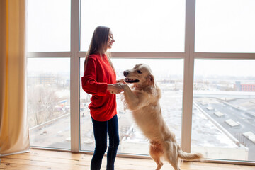 girl stands and holds dog by the paws at home near the window, woman dances with golden retriever