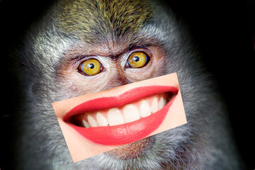 A comical montage of a primate with feminine pucker: A lighthearted and entertaining composition...