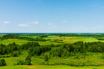 Fototapeta na wymiar Summer rural lanscape with trees,forest cloudy summer sky. warm beautiful summer day. Summer background.