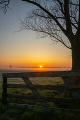 Fototapeta na wymiar Foggy sunrise over dutch meadow behind a fence and tree