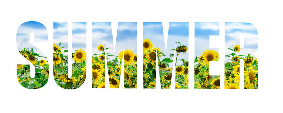 The inscription summer is cut out of a photo of sunflowers,blue sky,white clouds on a white isolated background.