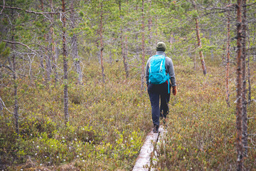 Fototapeta premium female hiker walking on duckboards. hiking concept.