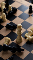Chess pieces on the board