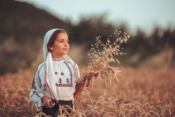 Golden wheat on harvest field and bulgarian woman with sickle for harvesting. Agriculture, history...