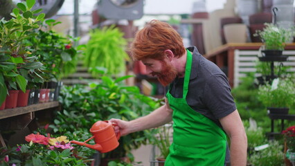 One young employee of Flower Shop watering plants on shelf aisle. A male redhead staff wearing...