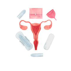 watercolor illustration uterus, feminine hygiene items, sanitary napkin, tampon, menstrual cup. hand drawn isolated picture on the topic of female health and hygiene