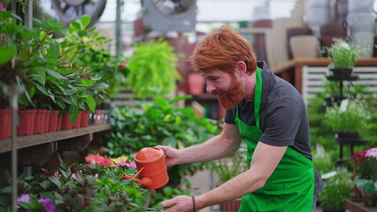 Fototapeta na wymiar One young employee of Flower Shop watering plants on shelf aisle. A male redhead staff wearing green apron using water can working at local business store