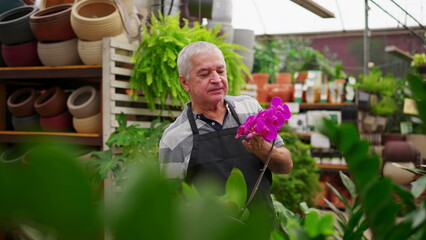 Portrait of older male Florist employee holding flower inside horticulture plant store while...