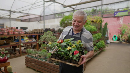Fototapeta na wymiar One Happy older male employee carrying Flowers inside Plant Store. Local business shop of senior person working with gardening