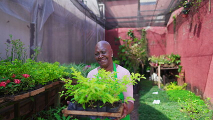 Portrait of an African American older lady standing in outdoors garden backyard holding plant smiling at camera. A bold black Brazilian senior woman in horticulture green environment